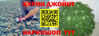 прущие крисы Дубна