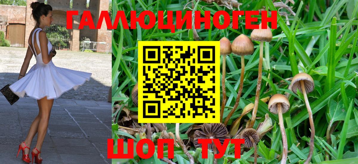 Галлюциногенные грибы ЛСД  Вход с VPN  Псилоцибиновые грибы Psilocybine cubensis  Удомля 