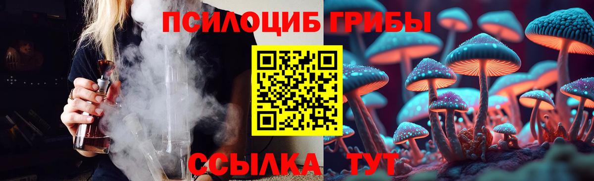 Псилоцибиновые грибы Psilocybe Удомля